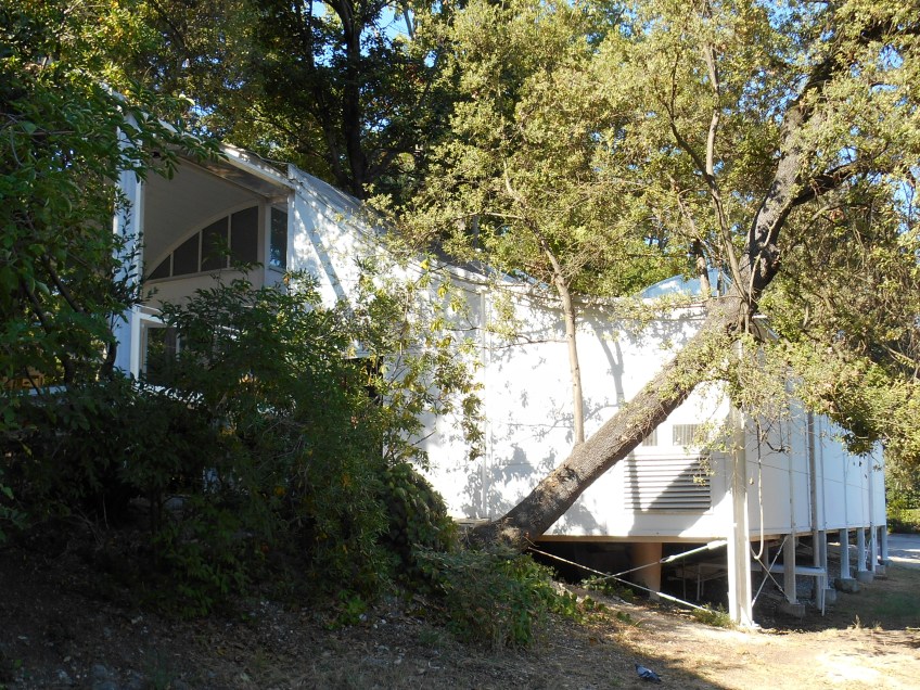 Figure 3.12: View looking north toward the Australian pavilion, designed by Philip Cox in 1988. Photograph: Joel Robinson.