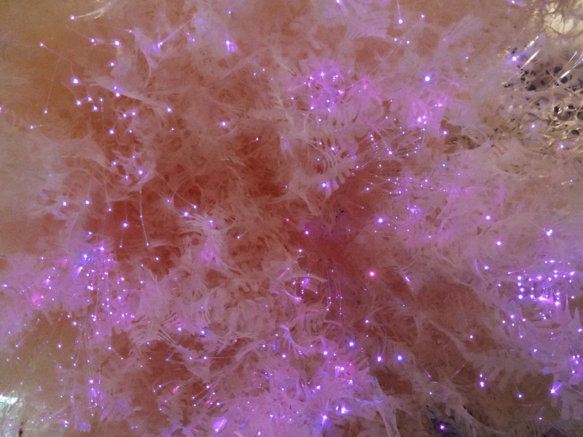 Figure 14.4: @Lab (Sarah Bonnemaison and Robin Muller), Detail of Snowflake Chandelier in the Winter Warming Hut, Halifax, 2011. Courtesy of Sarah Bonnemaison.