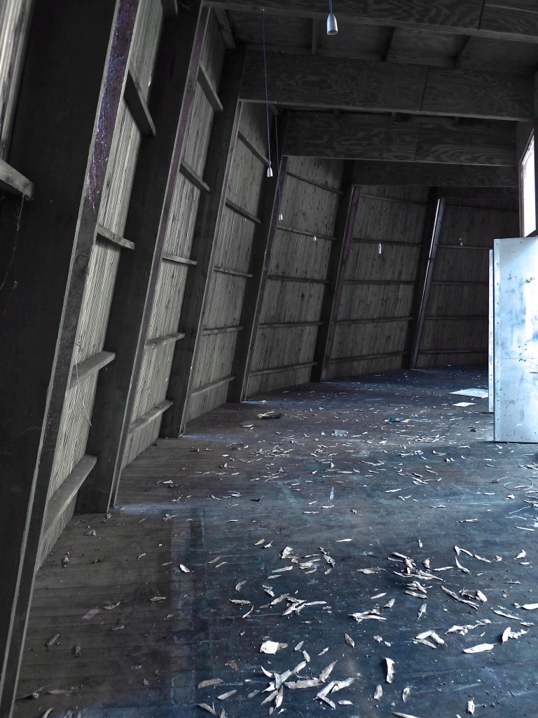 Figure 16.9: Chris Tucker, Wall, 2012. Courtesy of the architect.